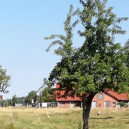Besinndich Nebelin Esterno foto
